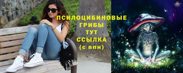 молекула духа Нея
