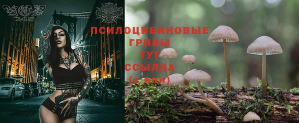 jwh Нефтекумск