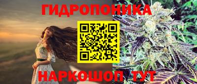 каннабис Гай