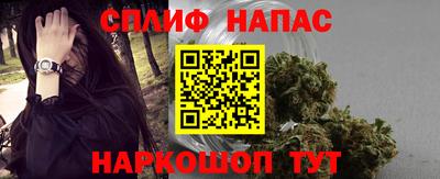 дмт Гатчина