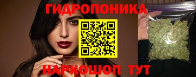 дмт Гатчина
