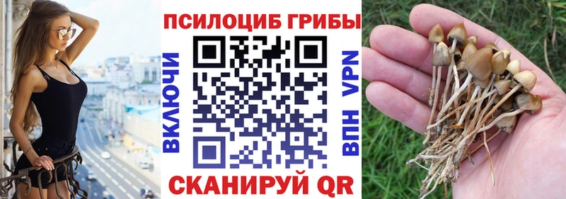 hydra сайт  Курганинск  Псилоцибиновые грибы прущие грибы 